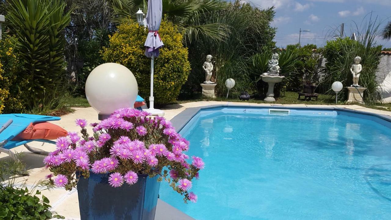 Suite-Junior -Villa Helene - Montpellier Sud - Aeroport- Piscine Privee-2Mn Des Plages Pérols Exteriör bild