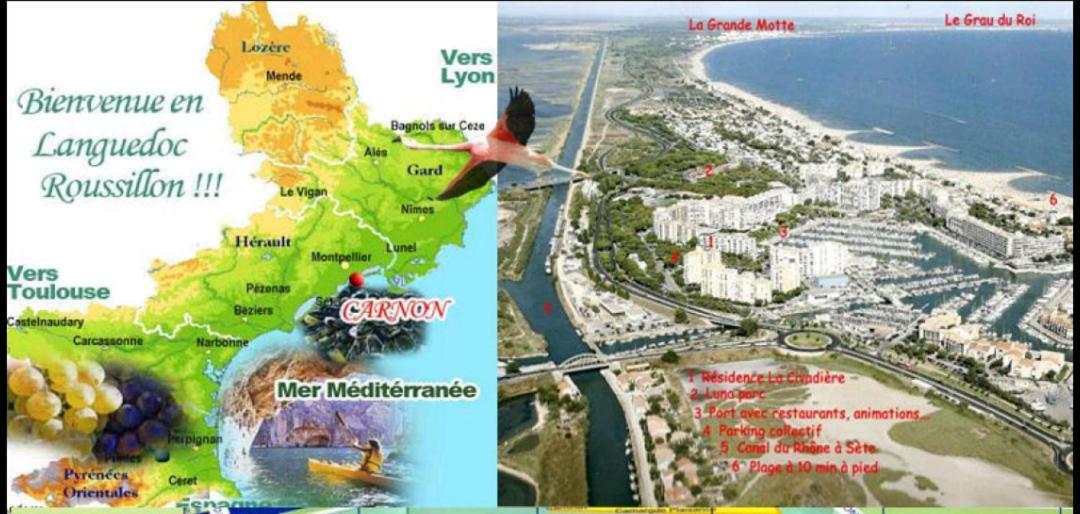 Suite-Junior -Villa Helene - Montpellier Sud - Aeroport- Piscine Privee-2Mn Des Plages Pérols Exteriör bild